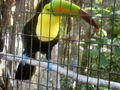 e-img_0247.jpg