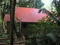 e-img_0252.jpg