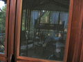 e-img_0254.jpg