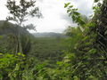 e-img_0255.jpg