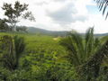 e-img_0256.jpg