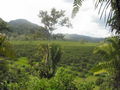 e-img_0257.jpg
