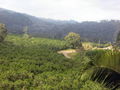 e-img_0258.jpg