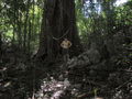 e-img_0259.jpg