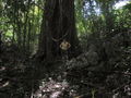 e-img_0260.jpg