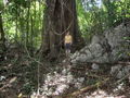 e-img_0261.jpg