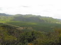 e-img_0264.jpg