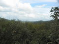 e-img_0265.jpg