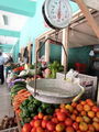 13-IMG_7235.jpg