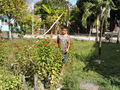 JOY_0273.JPG