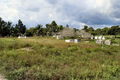 d-DSC00060.jpg