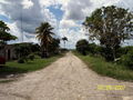 t-100_2559.jpg