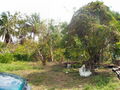 100_4199.jpg