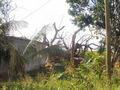 100_4205.jpg
