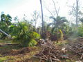100_4210.jpg