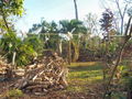 100_4211.jpg
