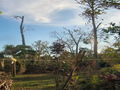 100_4212.jpg