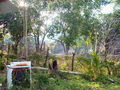 100_4213.jpg