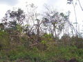 100_4260.jpg