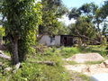 G-1-100_4859.jpg