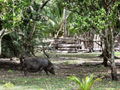 e-img_0199.jpg