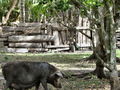 e-img_0200.jpg