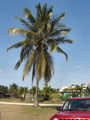 A-DSC04244.JPG