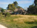 A-DSC04353.JPG