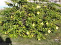 A-DSC04899.JPG