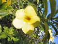 A-DSC04902.JPG