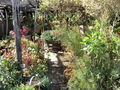 S-IMG_1990.JPG