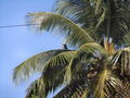DSCF1987.jpg