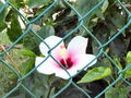 IMG_6539.jpg