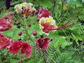 SAM_0540.jpg